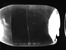 Foreign Object Detection in Bottles