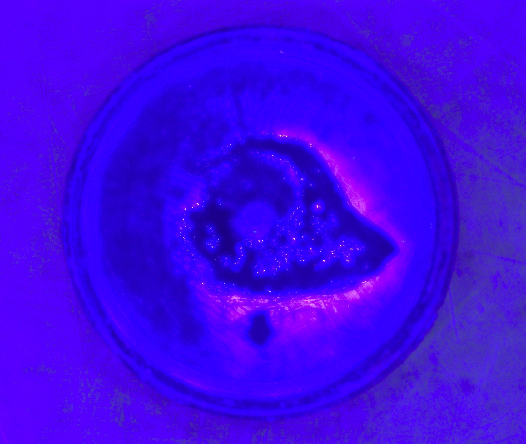 Effect picture of gluewithout fluorescent components